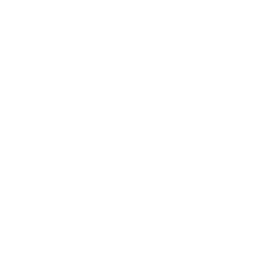 Burney Group