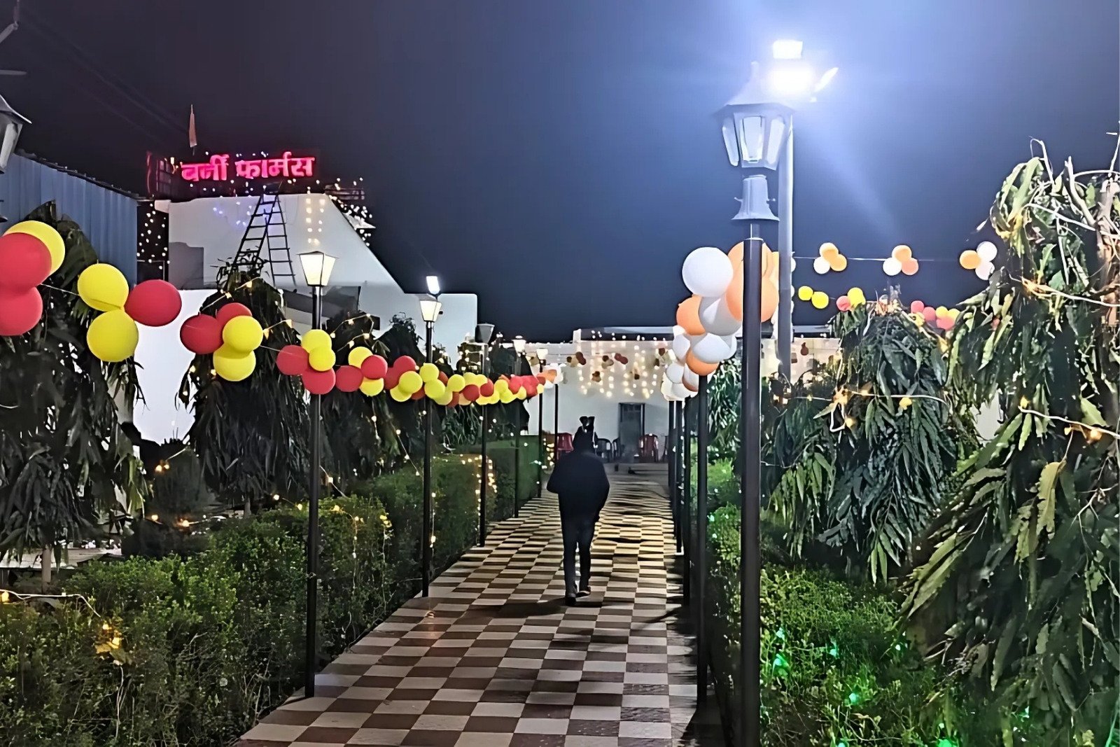 Burney Farm- Foundation